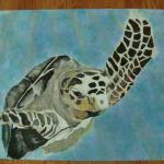 sea turtle